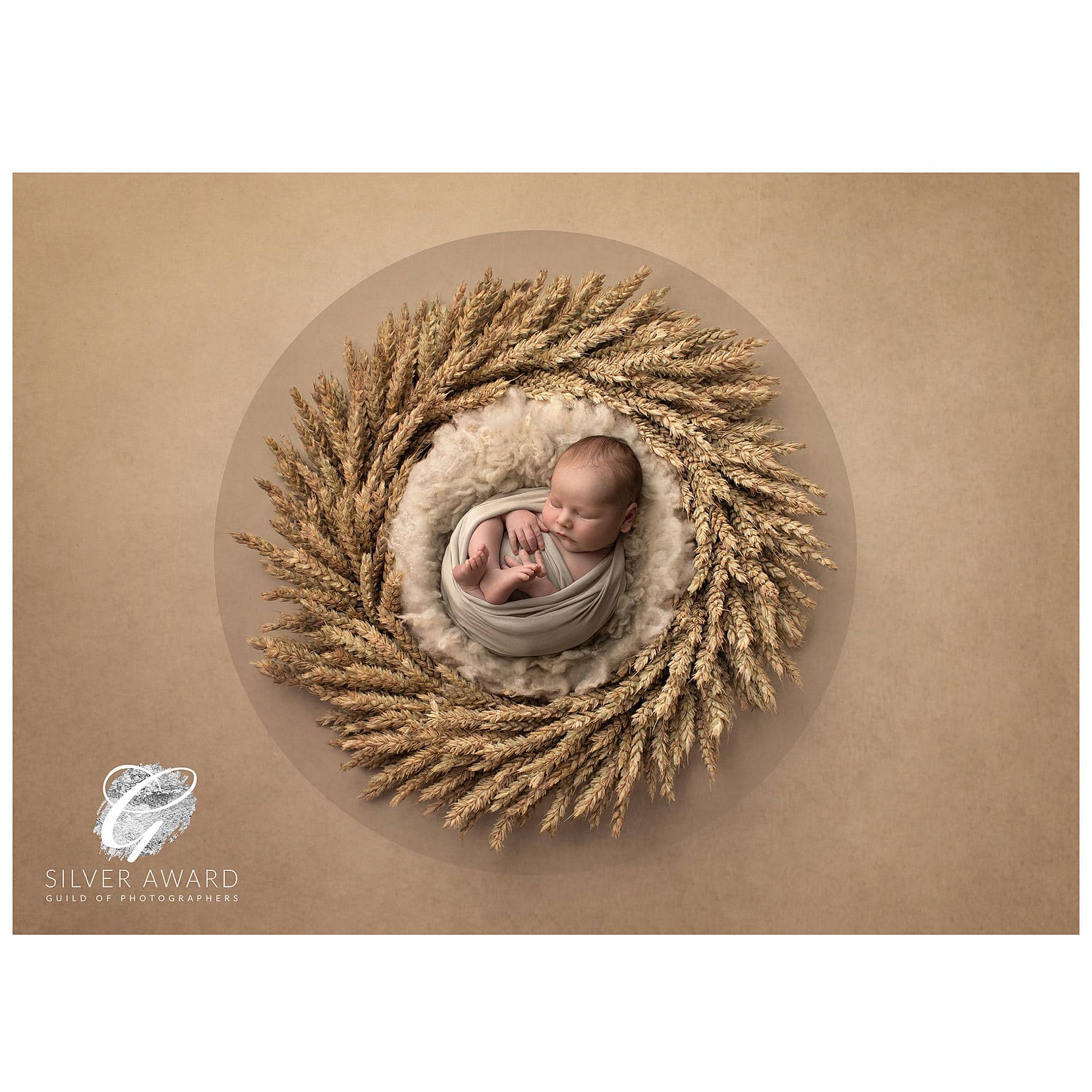Newborn Baby lying in a wheat wreath wins a silver award with the Guild of Photographers