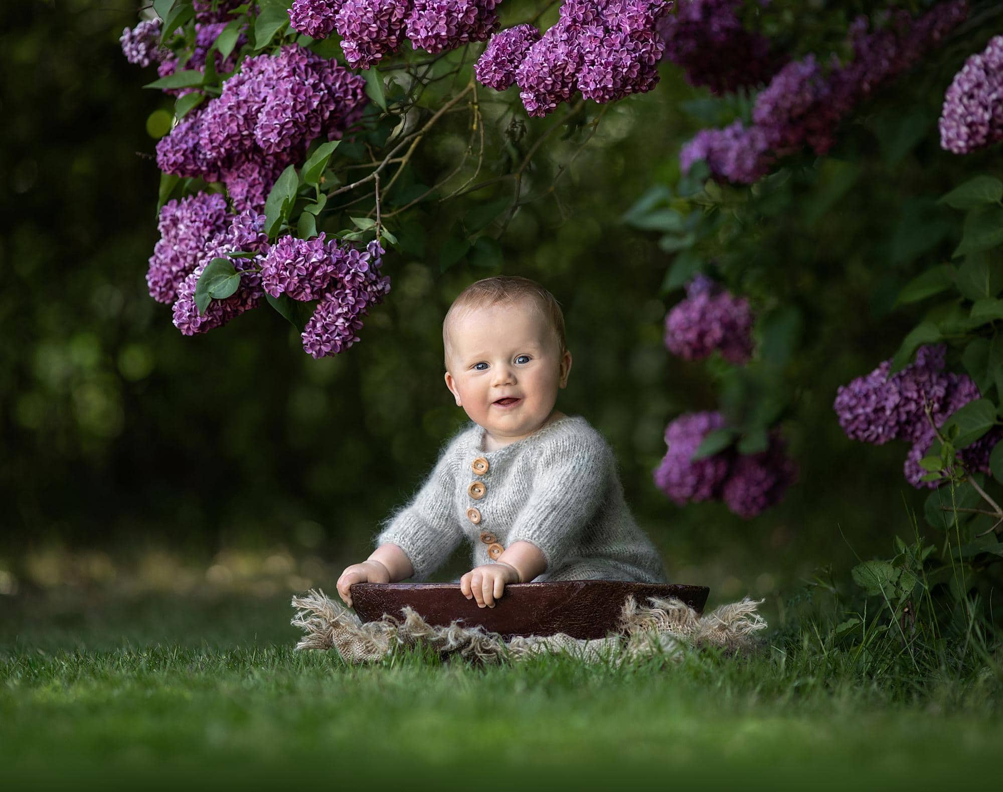 Baby boy sits in a wooden bowl under a Lilac tree in Stoke By Clare, Suffolk