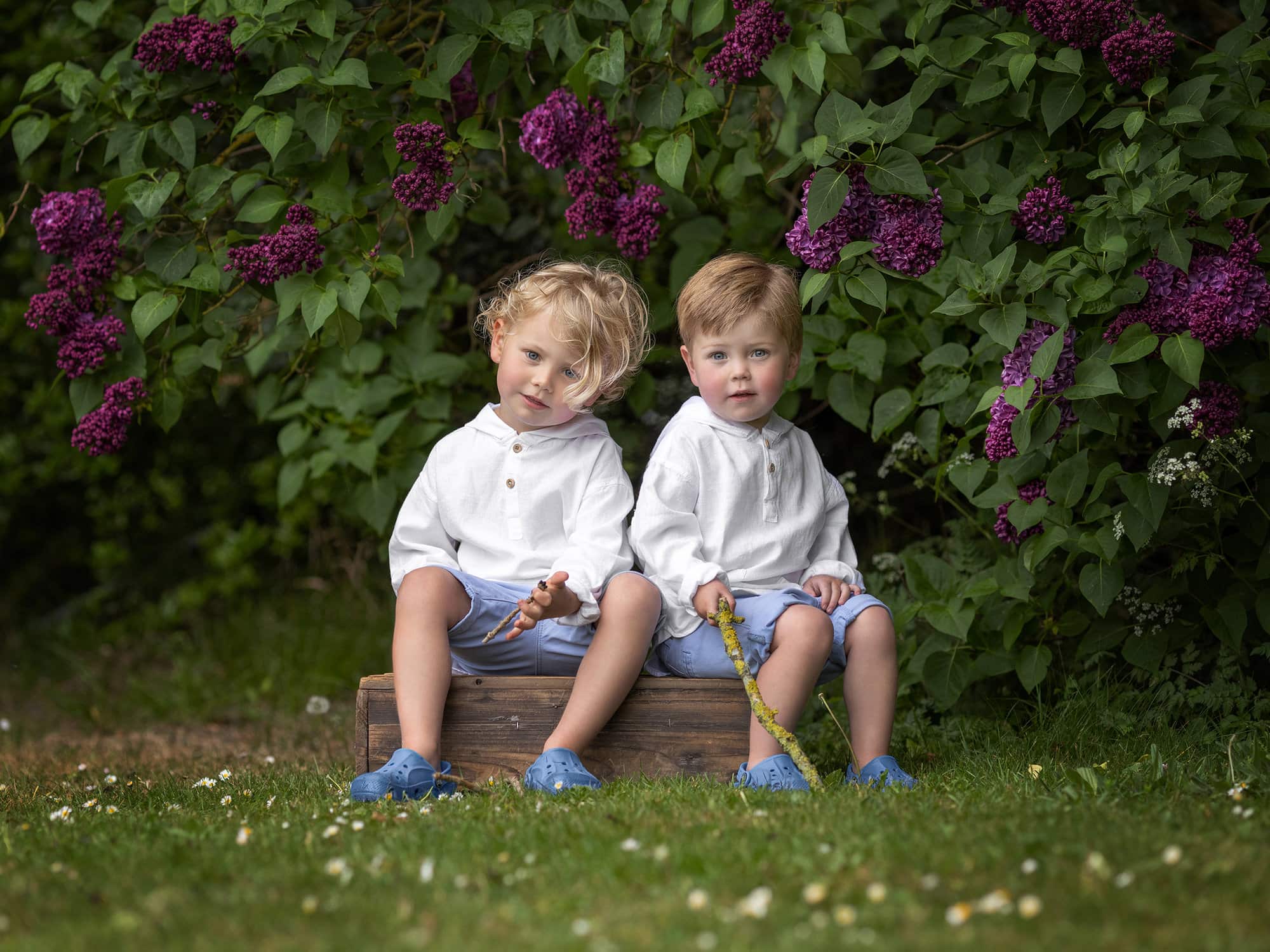 Two little boys in white shirts and blue shorts sit on a box beside a lilac bush during a spring family photoshoot with Alison McKenny
